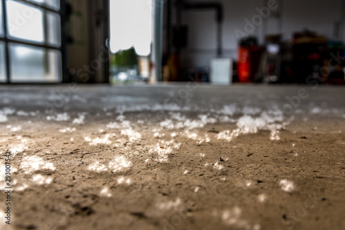 Poplar Fluff on the Floor © Paul