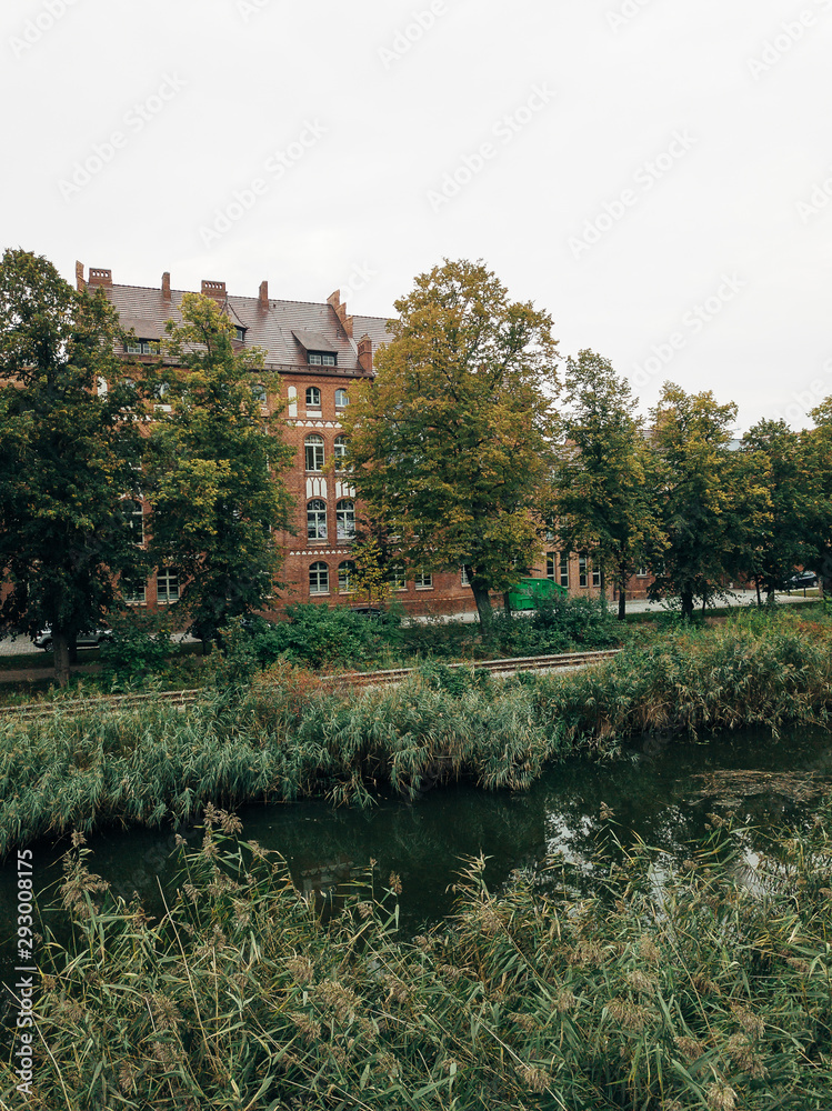 Herbstliches Greifswald von oben