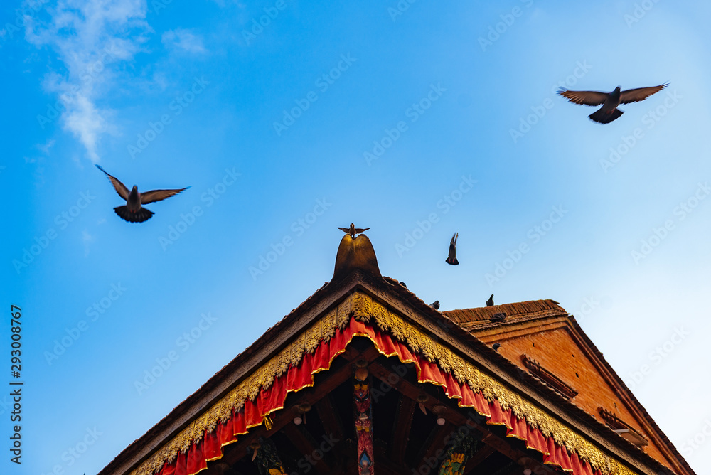 Roof of temple in Durbar Square of Kathmandu, Nepal. Crowded with pigeons. Roof of temple in Durbar Square of Kathmandu, Nepal. Crowded with pigeons.