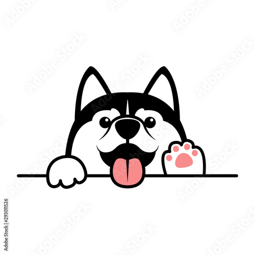 Cute siberian husky dog paws up over wall, vector illustration