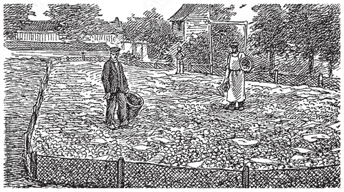 Vintage engraving of an escargot snail farm