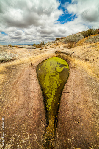 São Bento-RN, Fish Tank, natural water reservoir, used by the animals of the region.
