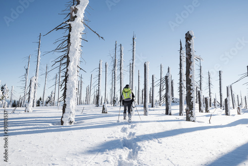 schneeschuhwanderer erkundet unbekanntes gebiet in einer traumhaften märchenhaften winterlandschaft