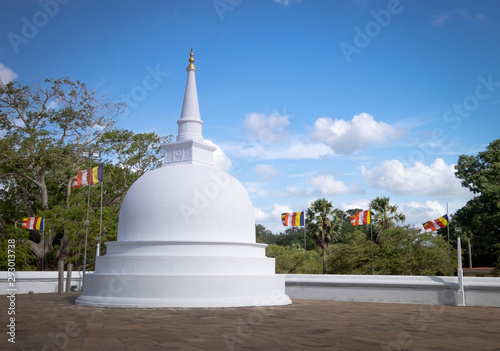 Budhism at Ruwanweliseya are praying  meditate. Anuradhapura  Sri Lanka. .