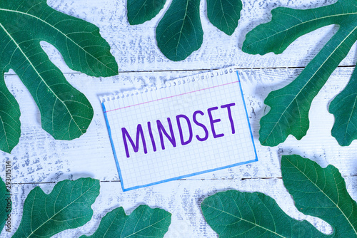 Text sign showing Mindset. Business photo showcasing A standard thought of a demonstrating of what he orshe will be done photo