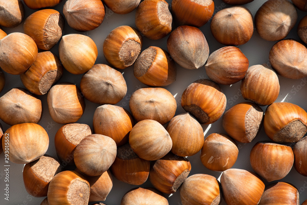 Hazelnut. Fresh organic filbert on white background. Nut macro. Hazelnut. Fresh organic filbert on white background. Nut macro.