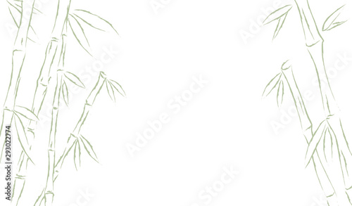 Bamboo or sugar cane forest frame background. Vector illustration drawing photo