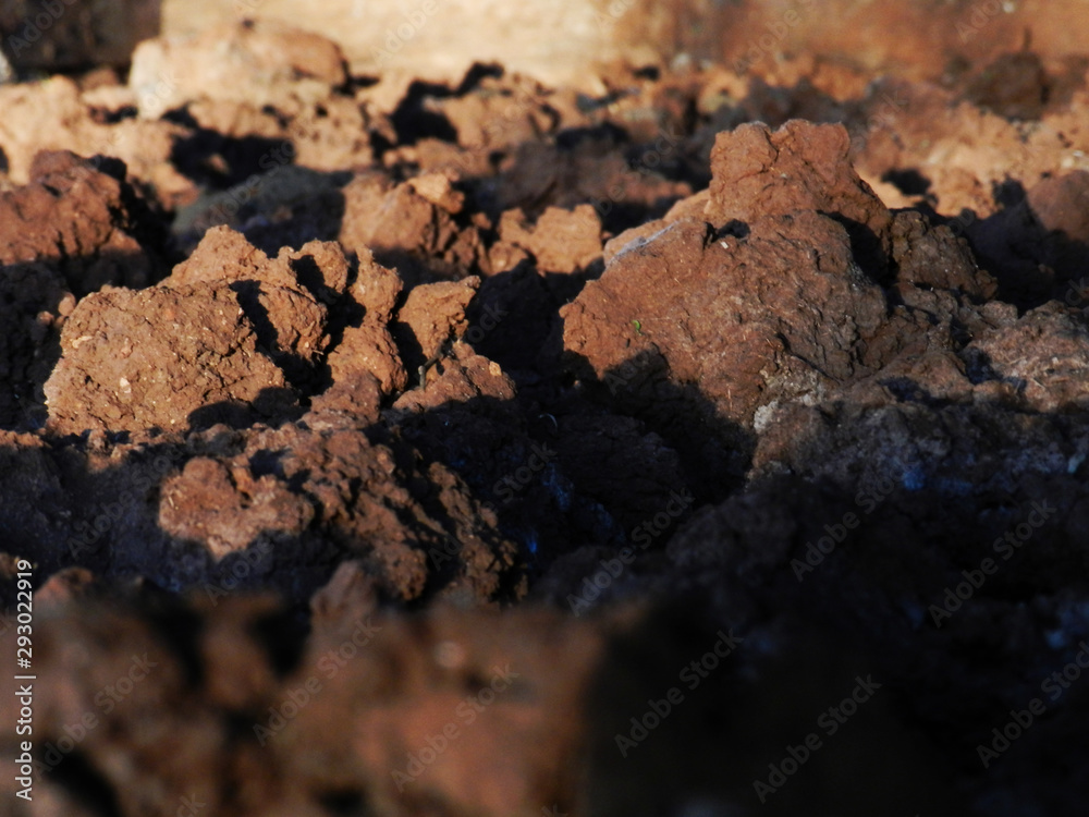 DRY LAND DRY LAND