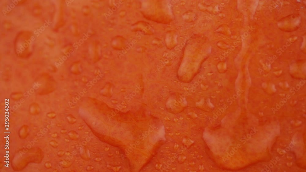 Closeup view Beautiful big pumpkin on which drops of water flow Closeup view Beautiful big pumpkin on which drops of water flow