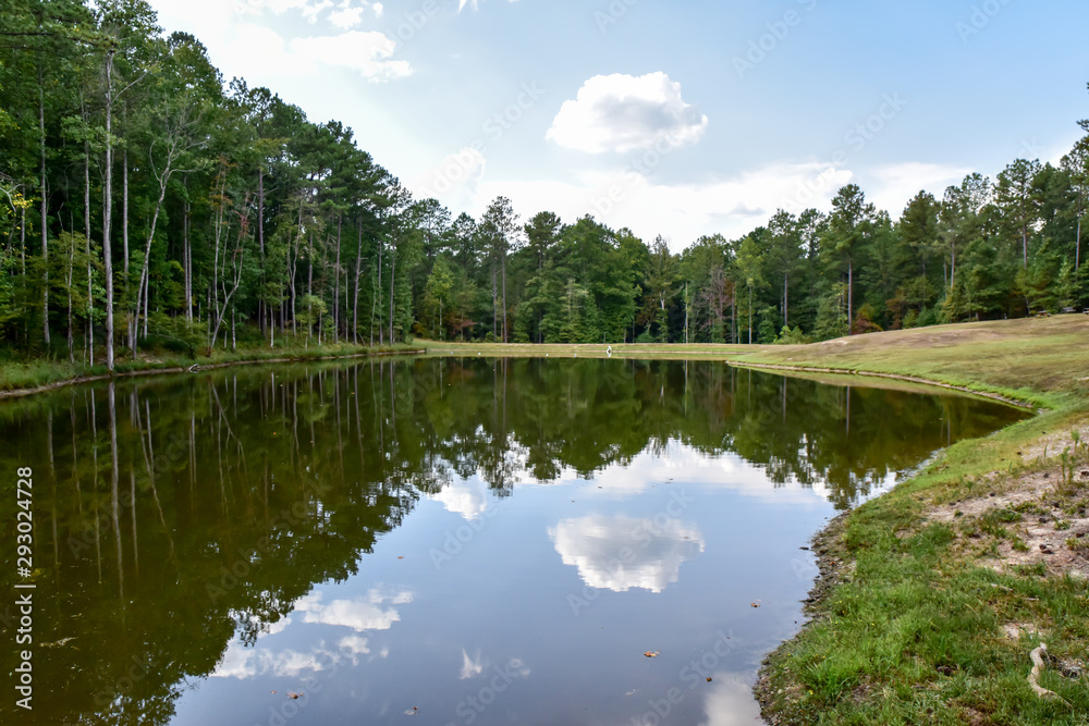 Fototapeta premium Mirror reflections of trees and sky in pond