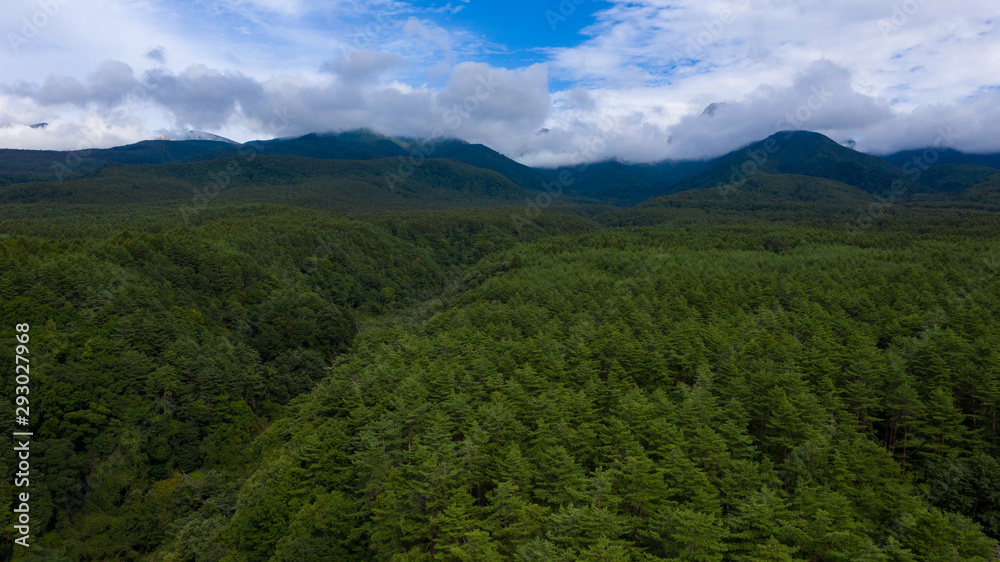 Coniferous forest and mountains covered with clouds_A