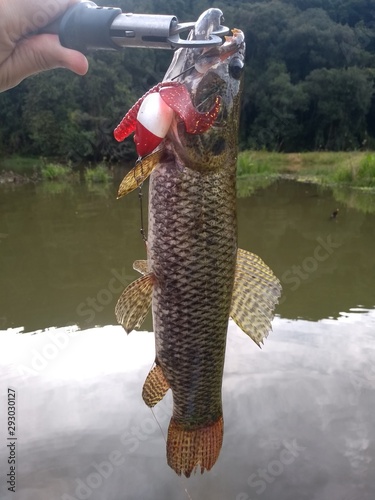 fisherman with catch of fish