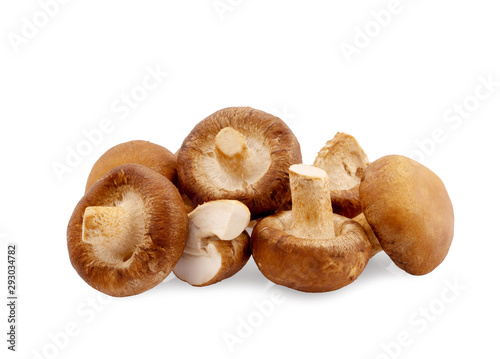 .Shiitake mushroom on the White background