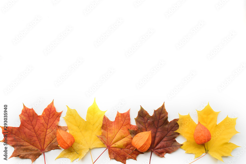 Autumn composition of frame of maple leaves and physalis. Flat lay, top view Autumn composition of frame of maple leaves and physalis. Flat lay, top view