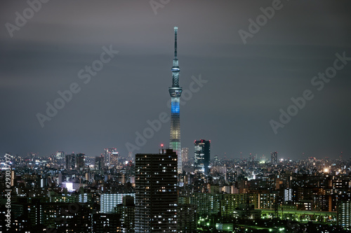 Tokyo cityscape, Japan © geargodz