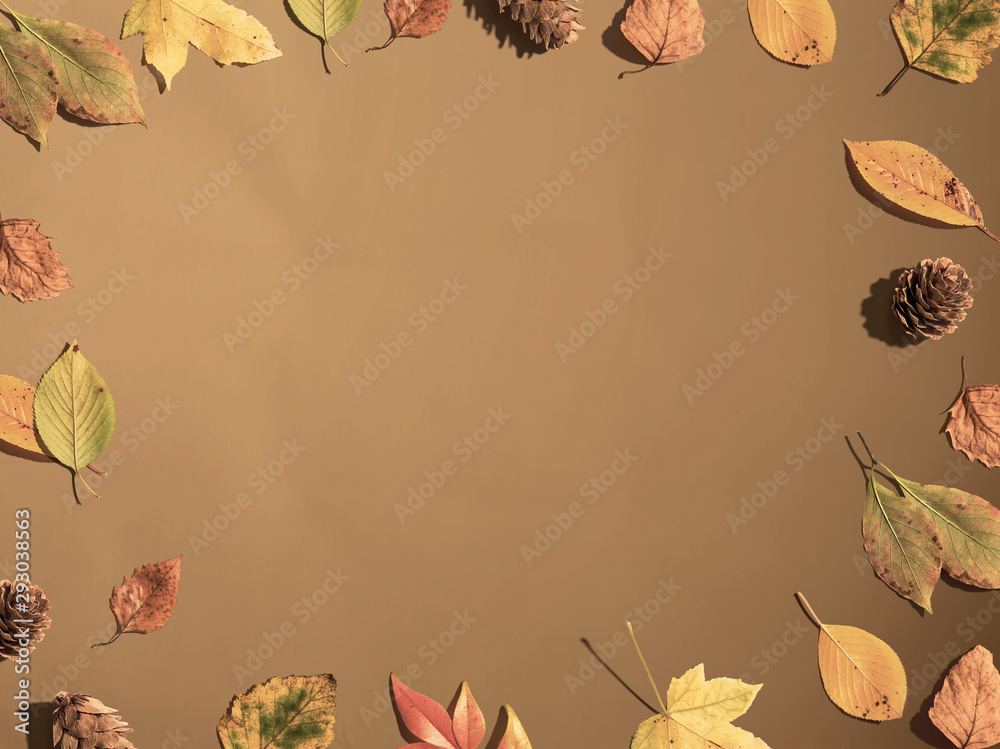 Autumn leaf border frame from above - flat lay
