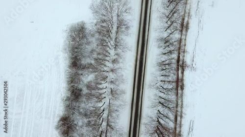 Nice and slow top down aerial shot of slippery road covered with ice, between birch alley on cloudy winter day in Latvia photo