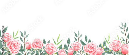 Roses garden wallpaper on white background. Design for wallpaper, website banner, backdrop, and background. Space for text.