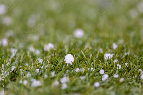 extreme weather hail stones with selective focus on the ground in south australia on 18th August 2019