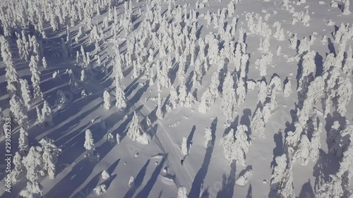 Aerial view of a skier dressed in black clothing cross country skiing on the track surrounded by magical winter wonderland snowy trees in Lapland Finland. photo