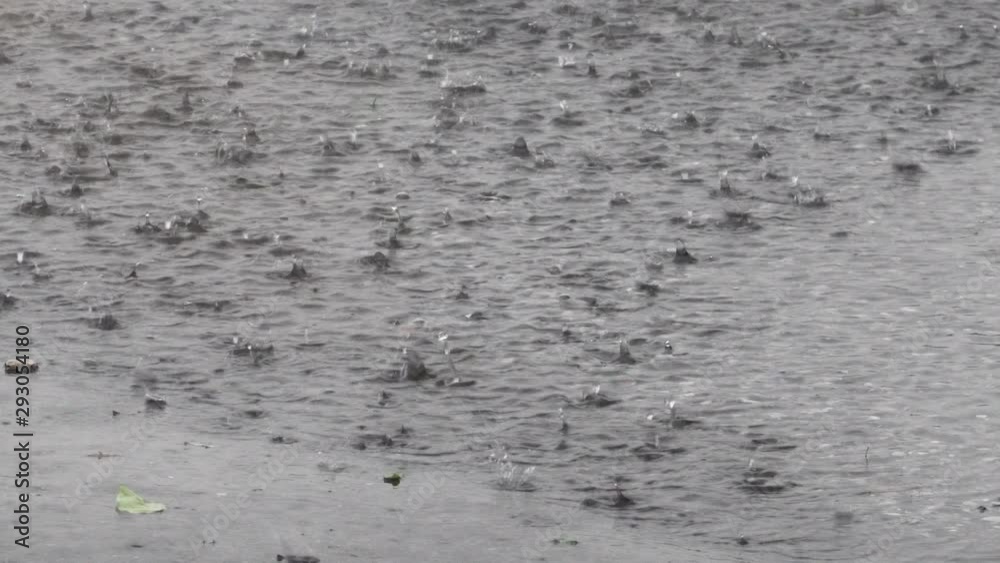 Raindrops splashing in a water puddle during a storm. Raindrops splashing in a water puddle during a storm.