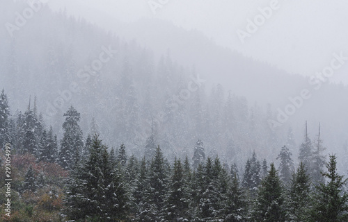 Snowfall over the forests in winter