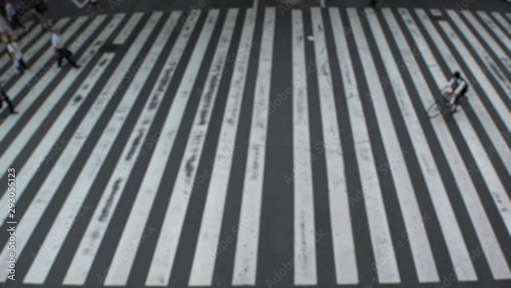 UMEDA, OSAKA, JAPAN - CIRCA SEPTEMBER 2019 : Aerial blurred view of zebra crossing near Osaka train station. Crowd of people at the street. Shot in busy rush hour. Slow motion. UMEDA, OSAKA, JAPAN - CIRCA SEPTEMBER 2019 : Aerial blurred view of zebra crossing near Osaka train station. Crowd of people at the street. Shot in busy rush hour. Slow motion.