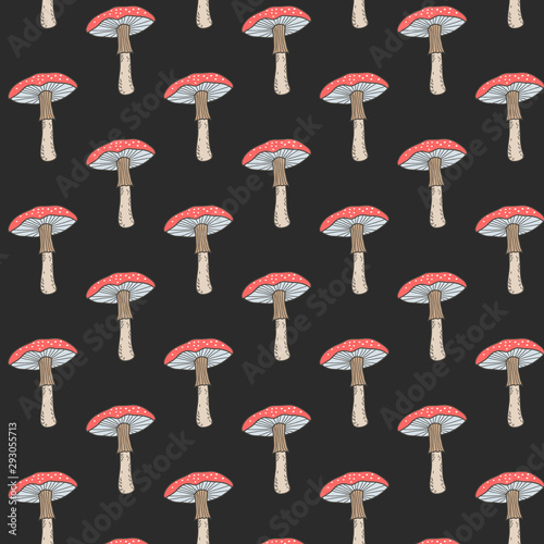 Red mushrooms Amanita on a black background. Vector freehand drawing