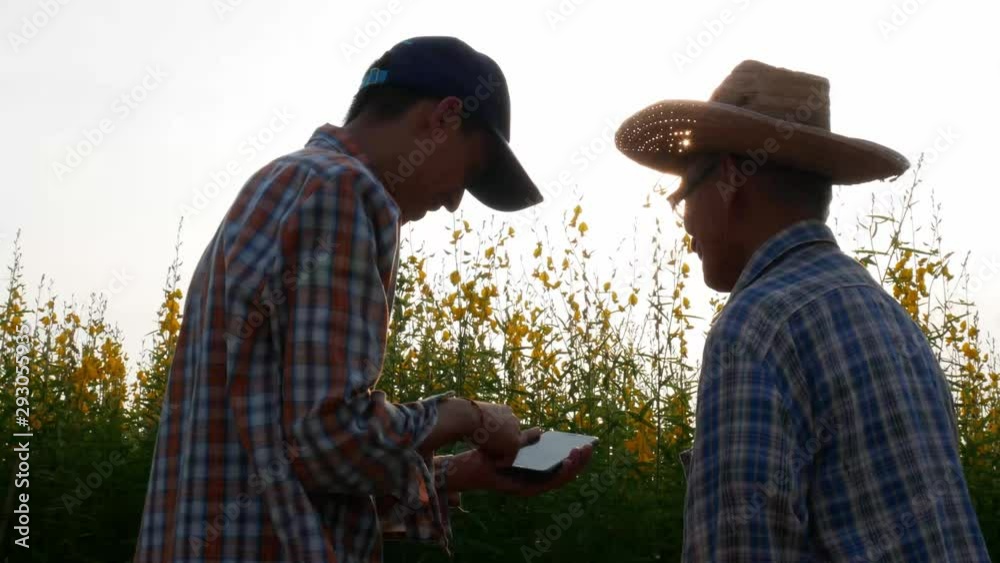 Grandson is teaching his grandfather to use technology in agriculture, Stand on sunset background. Grandson is teaching his grandfather to use technology in agriculture, Stand on sunset background.