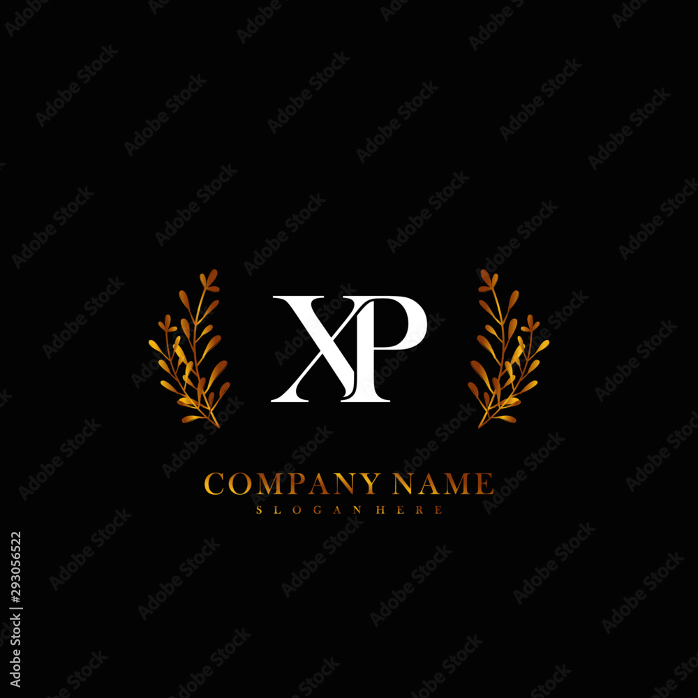Initial letter XP beauty vector handwriting concept logo Stock Vector ...