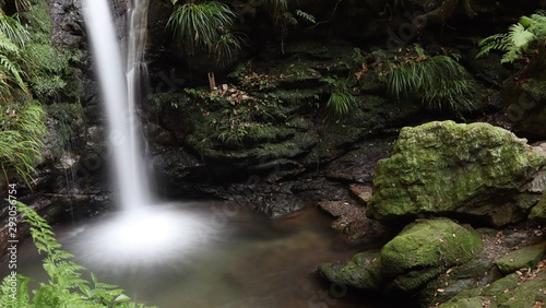 waterfall in forest