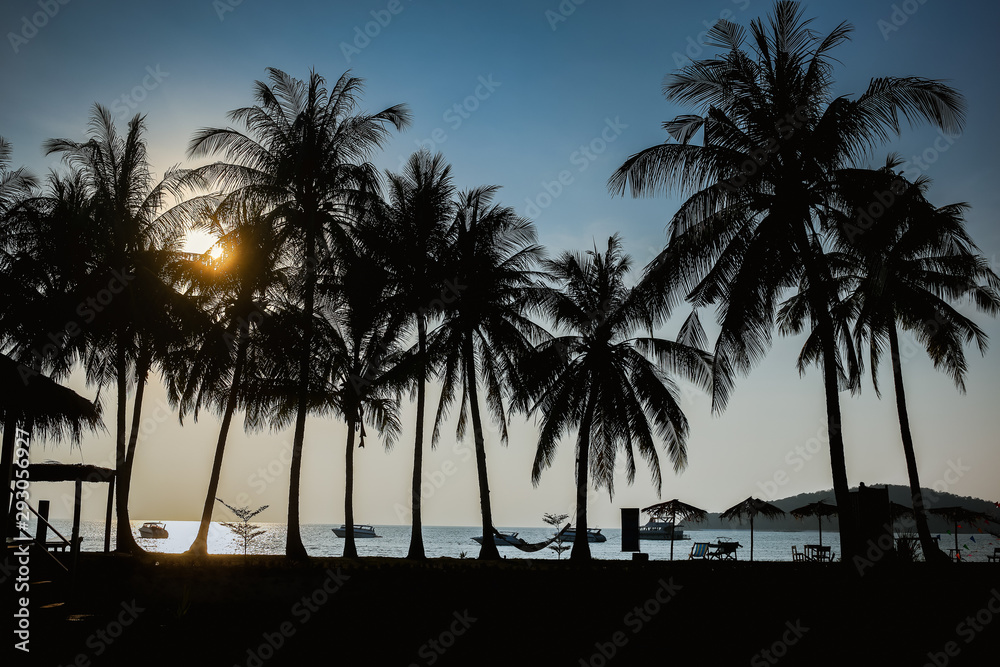 Obraz premium Silhouette of coconut trees before sunset.