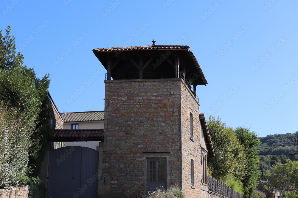 Fototapeta premium Vestiges du château médiéval et du donjon du village de Saint Germain au Mont d'Or - France