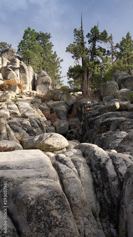 big beautiful rocks at big bear mountain with pines at the top
