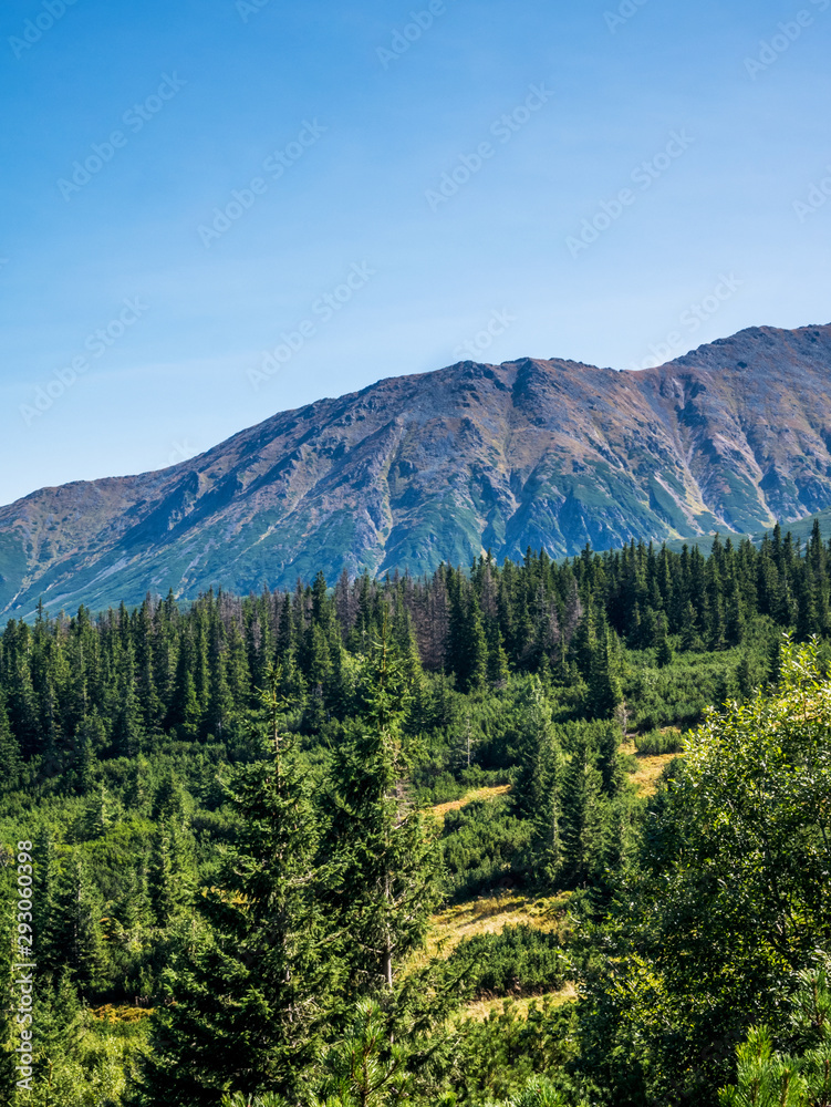 landscape of mountains in spring landscape of mountains in spring