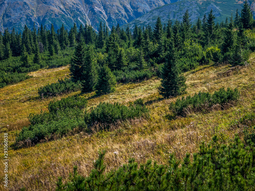 Fototapeta Naklejka Na Ścianę i Meble -  landscape in the mountains