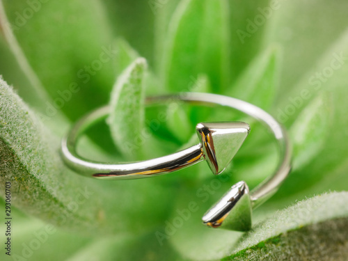  Close up,macro silver ring on green cactus background