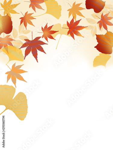 紅葉 秋 和柄 和風 もみじ 楓 日本的 紅葉狩り フレーム Stock イラスト Adobe Stock
