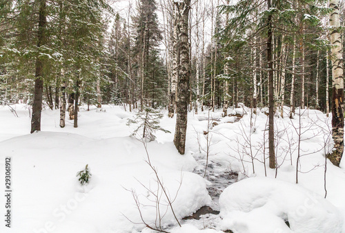 Zimowy krajobraz. Taganay National Park, Czelabińsk, Południowy Ural, Rosja