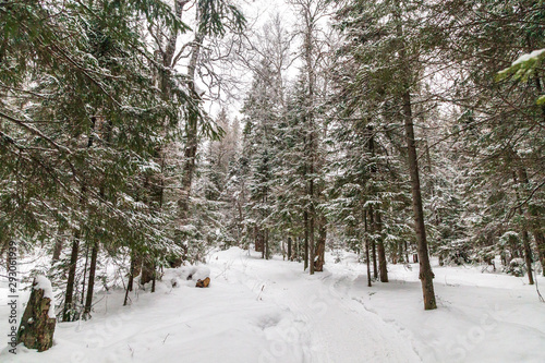 Zimowy krajobraz. Taganay National Park, Czelabińsk, Południowy Ural, Rosja