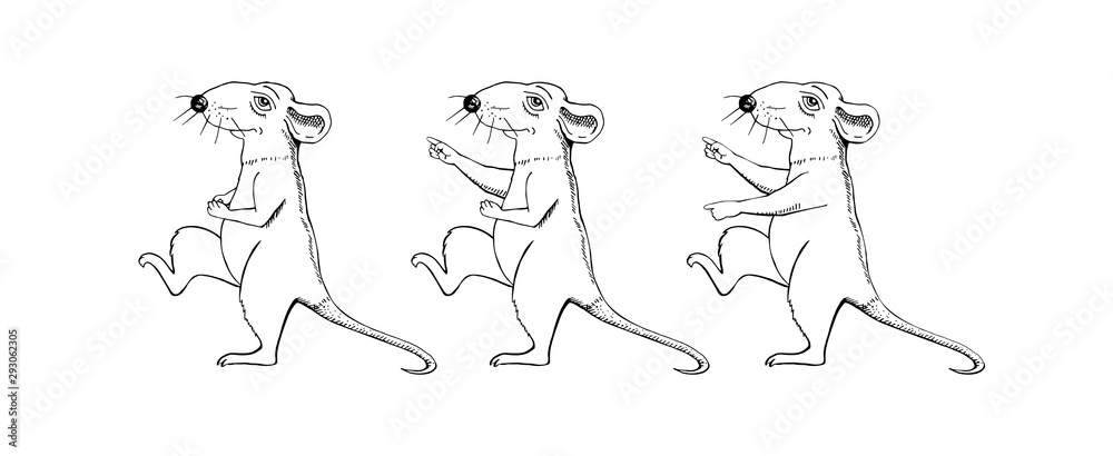 Cartoon rat image sketch. The rat is walking. Set.