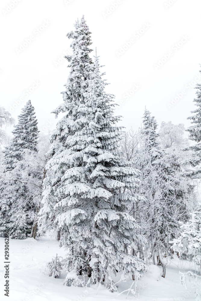 Winter landscape. Taganay national Park, Chelyabinsk region, South Ural, Russia