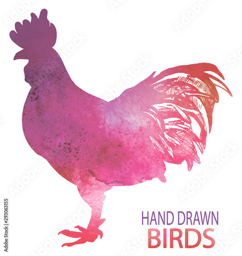 Adult cock. A beautiful cock with a bushy tail and a large crest. Drawing by hand in vintage style.