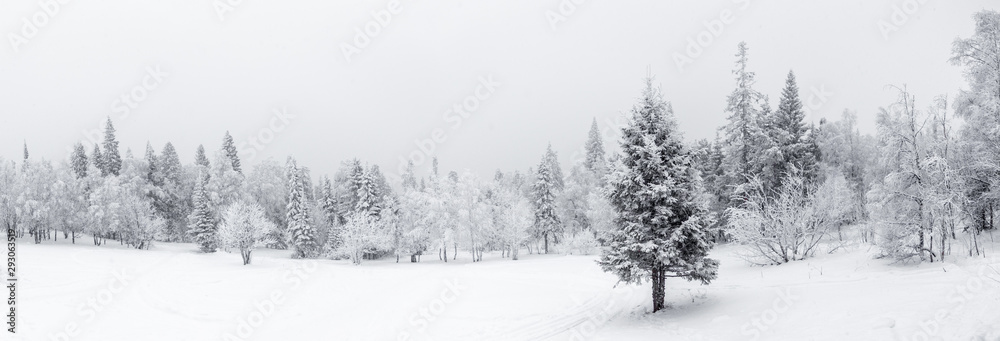 Fototapeta premium Zimowy krajobraz. Park Narodowy Taganay, region Czelabińska, Południowy Ural, Rosja