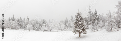 Winter landscape. Taganay national Park, Chelyabinsk region, South Ural, Russia