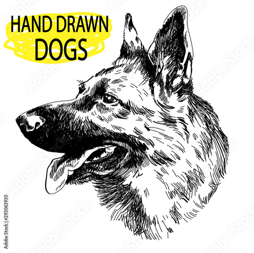 German Shepherd. A set of images. Drawing by hand in vintage style. An adult dog, puppy. Dog breeds.