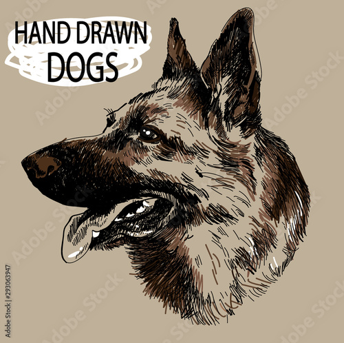 German Shepherd. A set of images. Drawing by hand in vintage style. An adult dog, puppy. Dog breeds.