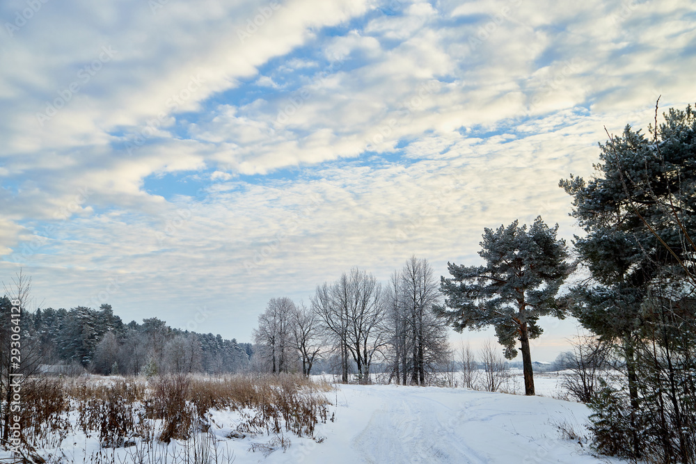 Winter landscape with snowy road, trees and blue sky with white clouds Winter landscape with snowy road, trees and blue sky with white clouds