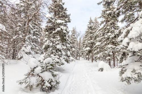 Winter landscape. Taganay national Park, Chelyabinsk region, South Ural, Russia © Anton Buymov