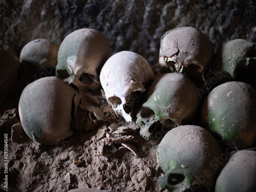 Skull and bones